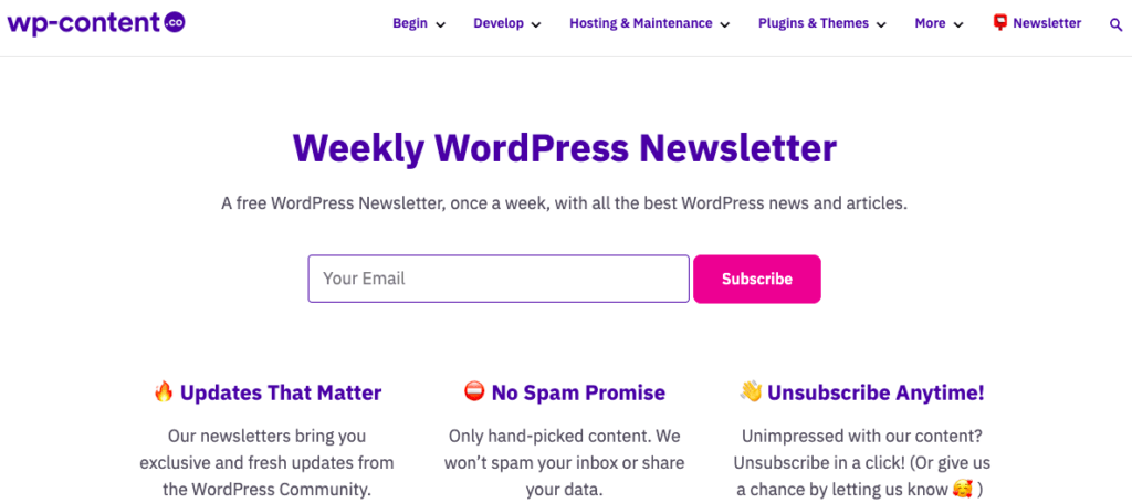 WordPress Newsletters