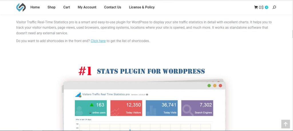 Visitor Traffic Real Time Analytics a Google Analytics alternative for WordPress