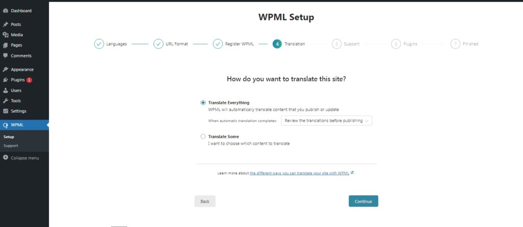 WPML website translation options