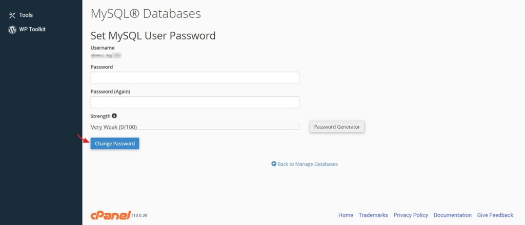 save new password in cPanel