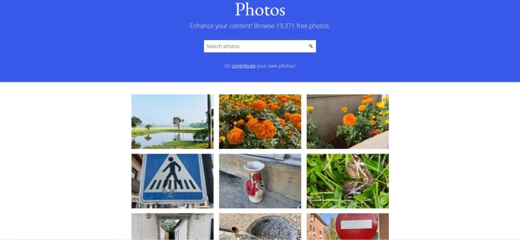 old WordPress photo directory theme